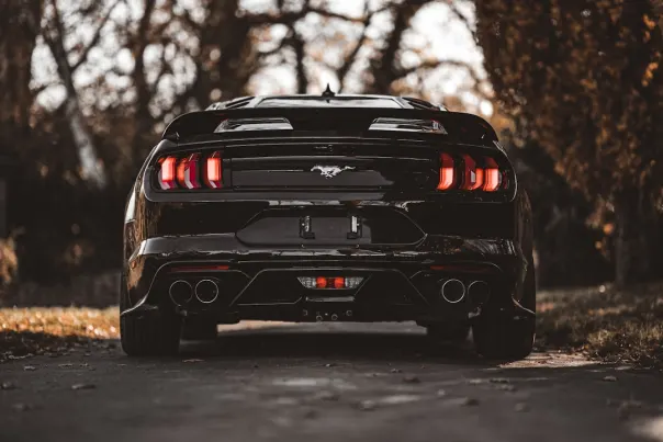 カジノ ポッシュ ビンゴ Android/iOS アプリ